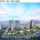 브라운스톤연제 이미지