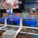 독도회센타 이미지