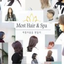 모스트 헤어(Most Hair) 이미지