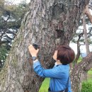 운봉읍 삼산마을 Daum카페