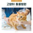 가야종합동물병원 이미지