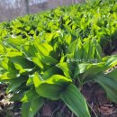 종명농장 이미지