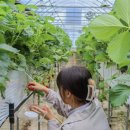 경순농장 이미지