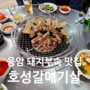 은평구 껍데기 무한리필 돼지부속 노포 호성 갈매기살