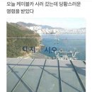 시오루 이미지