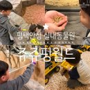 서동할인마트 | 평택 안성 실내동물원 체험 가득했던 쥬쥬핑월드