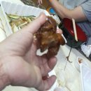 동지의 첫부프+ 첫 여행 간단 후기입니닷♡.♡