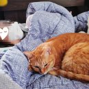 금정이비인후과의원 이미지