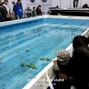 20120311 kofish 2012 한국국제낚시박람회 박람후기
