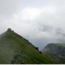 백두산 목장 이미지