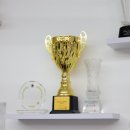 중국무술우슈쿵후도장 이미지