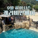메가월드스파 | 캐리비안베이 9월 하이시즌 후기 눈치게임 대성공 | 메가스톰 어트랙션 주차 간식 할인권 총정리