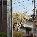 (주)제일문화사 네이버블로그