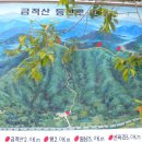 금적산