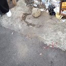 초읍중학교 이미지