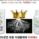 배대흥농장 네이버블로그