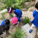 금란어린이집 이미지