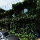 늘봄탕탕 이미지