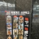 육체개조사관학교 이미지