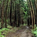 로얄당구클럽 이미지