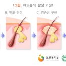 비케이에스테틱 - 강남구 봉은사로 404 | 비케이에스테틱