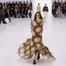 봄 여름 이미지