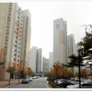 하남-신장-신장9호 이미지