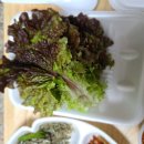 봉이네맛집 이미지