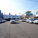 짬뽕천하통일 | 군산 짬뽕거리 중국집 카카오맵 후기 좋아서 가본 왕산중화요리 군산