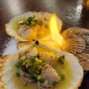 배딱관평점 이미지