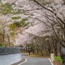 옥마산등산로 이미지