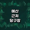 예산군 근처 당구장 추천 정보 무인 장갑 당구공 초크 큐대 포켓볼 레슨 공휴일 당구대 주말 24시 주변...