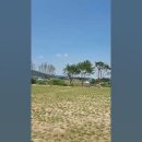 하우스사칠 이미지