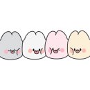 아루멍 그루밍 이미지