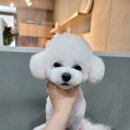 감성그루밍 이미지