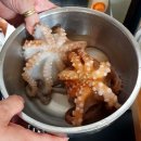 문어시대 이미지