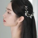 H-019 이미지