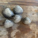 벌교택배2 이미지