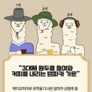 맛과 향을 모두 잡은 신선한 원두 탬파카 바리스타블렌드 후기