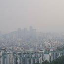 개미행정사 네이버블로그