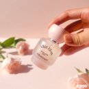 바닐라블라썸(Vanilla Blossom) 이미지