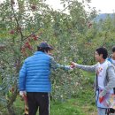 내서중학교 이미지