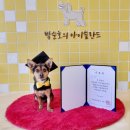 박순호의 아이슬란드 이미지