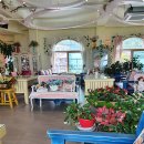 뜰안에 정원 이미지