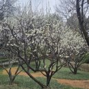 충렬사화장실 이미지