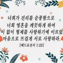 베드로전서 1장 22절 이미지