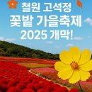 제316차 강원도 철원군 고석정 가을 꽃밭 축제장 트레킹공지 이미지