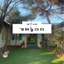 개떼놀이터 남양주점 | [남양주 애견카페] 개떼놀이터 후기 (남양주이색카페 남양주애견놀이터 남양주애견카페 남양주애견동반...