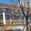 운정금강공인중개사사무소 이미지