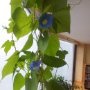 노루목작은도서관 이미지